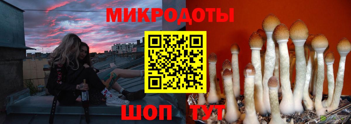 Галлюциногенные грибы MAGIC MUSHROOMS  Вход с VPN  Псилоцибиновые грибы MAGIC MUSHROOMS  Люберцы 